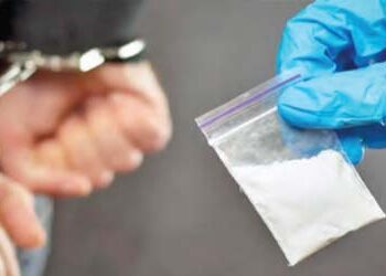 Narcotics factory busted, drugs worth Rs 252 crore recovered