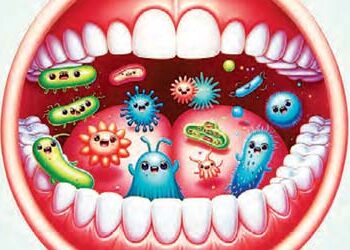 The diversity of bacteria in the human mouth is rapidly decreasing.