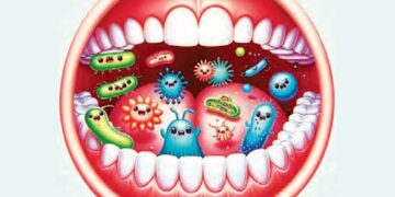 The diversity of bacteria in the human mouth is rapidly decreasing.