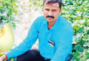 Melon changed the color of farmer's life
