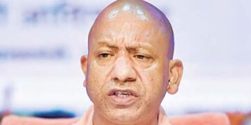 yogi
