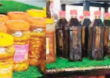 Daichi gives flight to skill and art