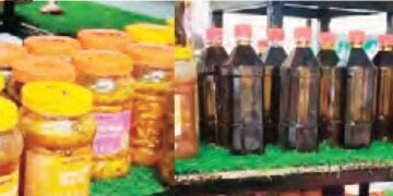 Daichi gives flight to skill and art