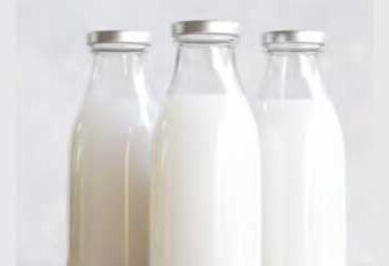 Donkey milk is making rich