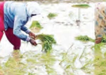 Monsoon is the lifeline of Indian economy