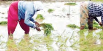 Monsoon is the lifeline of Indian economy