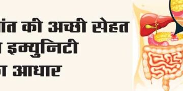 Good intestinal health is the basis of immunity