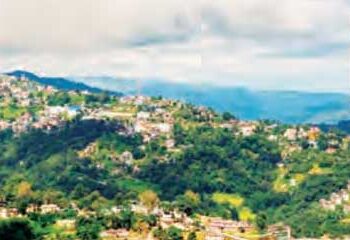 The role of North-East India in environmental balance is incomparable.