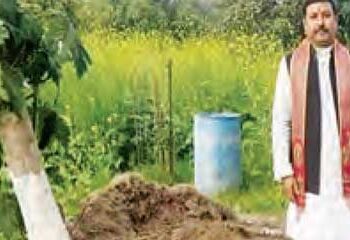 Teacher built a green garden on barren land
