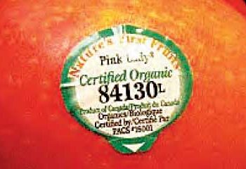 The stickers on apples or fruits are related to your health.