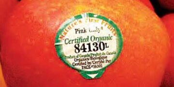 The stickers on apples or fruits are related to your health.