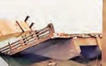 Case of continuous bridge collapse in Bihar reaches Supreme Court