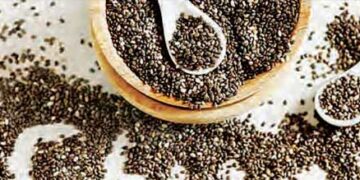 Chia seeds are a panacea for intestinal health.