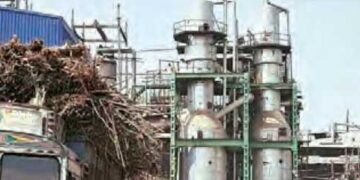 Maharashtra's mills will produce electricity along with sugar
