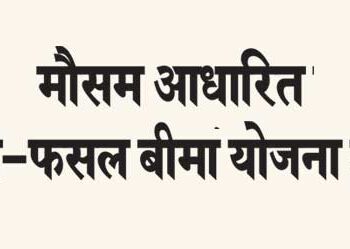 Weather based fruit crop insurance scheme started