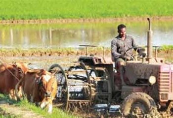 56 lakh farmers may get gift from Nirmala in election year