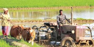 56 lakh farmers may get gift from Nirmala in election year