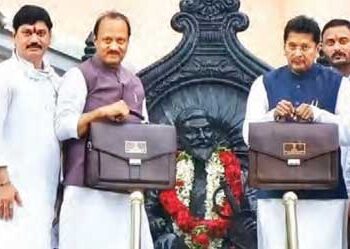 Box of welfare schemes opened in Maharashtra budget