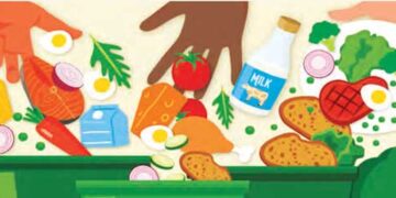 One third of the food produced in the world is being destroyed