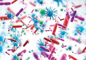 About 17 lakh unknown viruses in the world, can spread infection