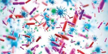 About 17 lakh unknown viruses in the world, can spread infection