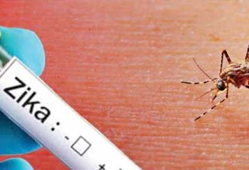Zika virus confirmed in two more pregnant women in Pune