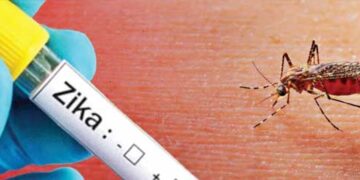 Zika virus confirmed in two more pregnant women in Pune