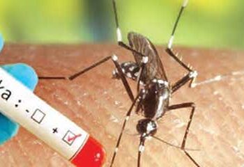 Central government alert regarding Zika virus