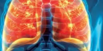 47 percent of Mumbai's bakeries are spreading pollution