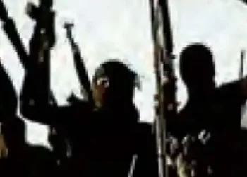 Islamic State is making dangerous plans against India