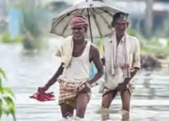 By 2036, 8 out of every 10 people will be affected by seasonal changes.