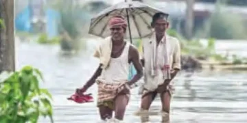 By 2036, 8 out of every 10 people will be affected by seasonal changes.