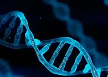 DNA
