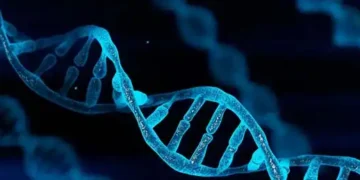 DNA