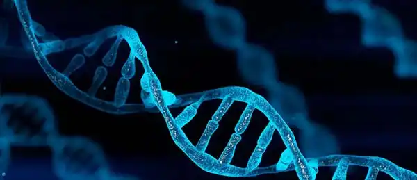 DNA