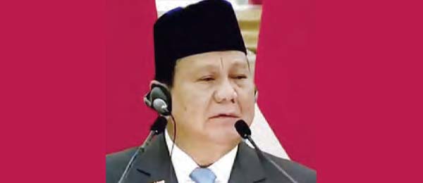 My DNA is Indian, my feet tap when I listen to music: Prabowo