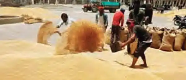 33.57 crore tonne production expected in the current financial year