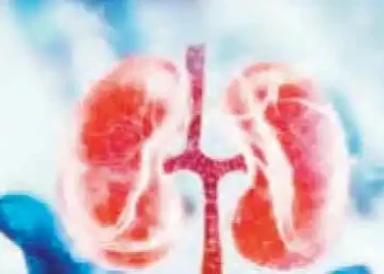 Kidney disease cases increased by 16.38 percent in India