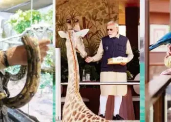 Be kind to wild animals: Modi