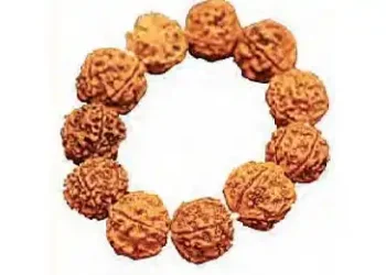 4.32 crore devotees gathered in Kashi, Rudraksha worth 100 crores sold