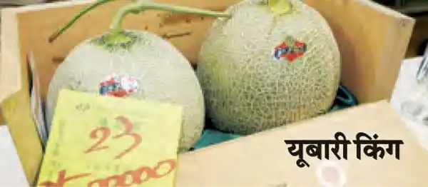 The world's most expensive fruit, costs 22 lakh rupees