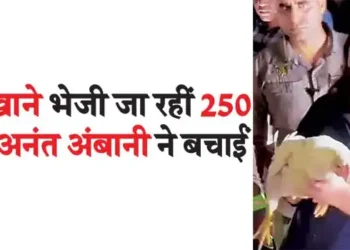 Anant Ambani saved 250 chickens that were being sent to the slaughterhouse
