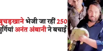 Anant Ambani saved 250 chickens that were being sent to the slaughterhouse