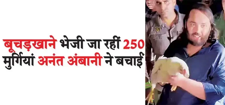 Anant Ambani saved 250 chickens that were being sent to the slaughterhouse
