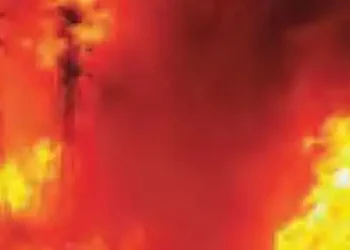 'Hopefully the money allocated for preventing fire will not be spent on iPhones'