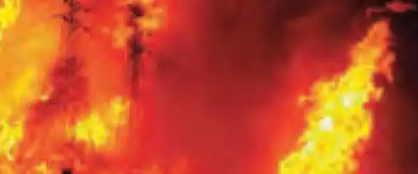 'Hopefully the money allocated for preventing fire will not be spent on iPhones'