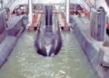'Project Varsha' causes a stir in the ocean