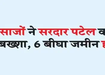 Fraudsters did not spare even Sardar Patel, grabbed 6 bighas of land