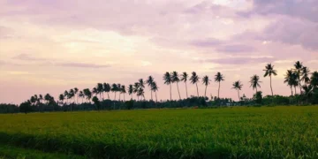 Agriculture