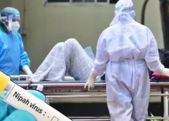 kerala-nipah-virus-new-case.webp